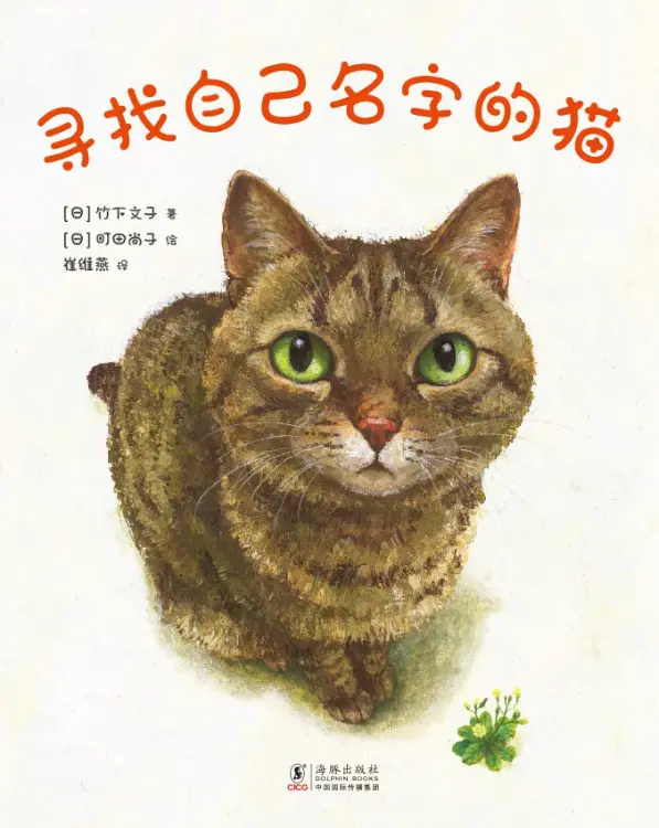 寻找自己名字的猫