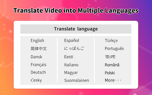 Video Translator