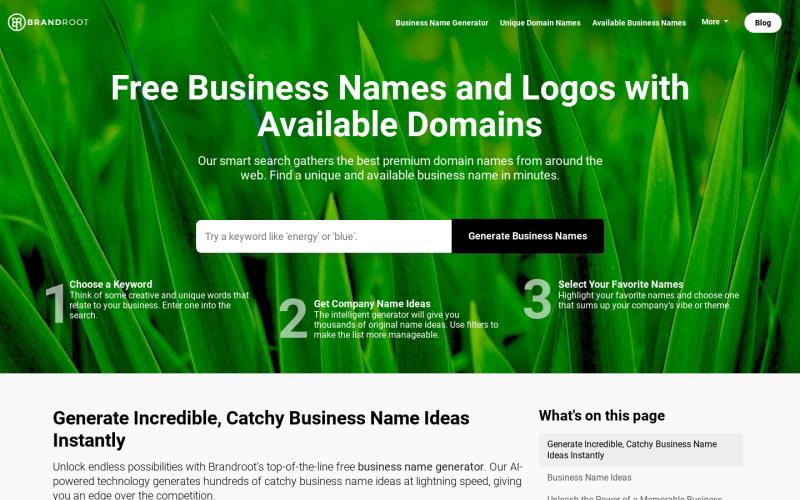 Business Names and Logos