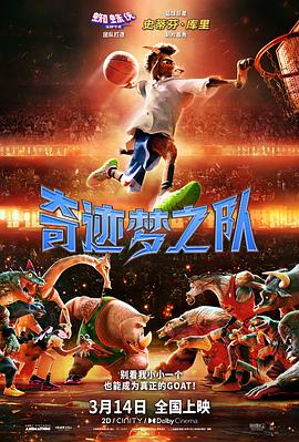 奇迹梦之队 奇迹梦之队